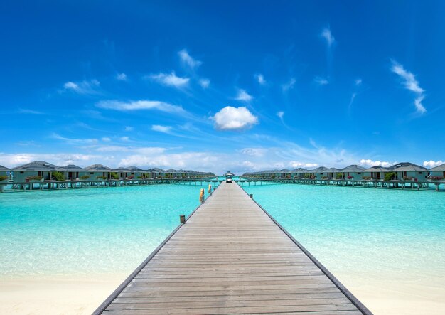 Île tropicale des Maldives avec plage de sable blanc et mer