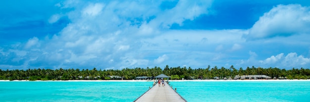 Île tropicale des Maldives avec plage de sable blanc et mer
