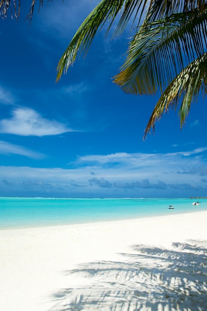 Île tropicale des Maldives avec plage de sable blanc et mer