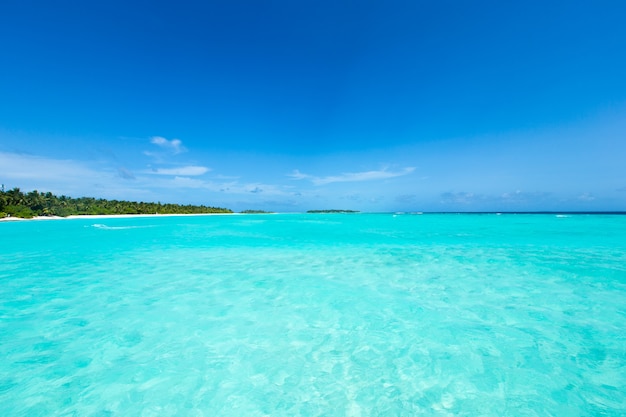 Île tropicale des Maldives avec plage de sable blanc et mer