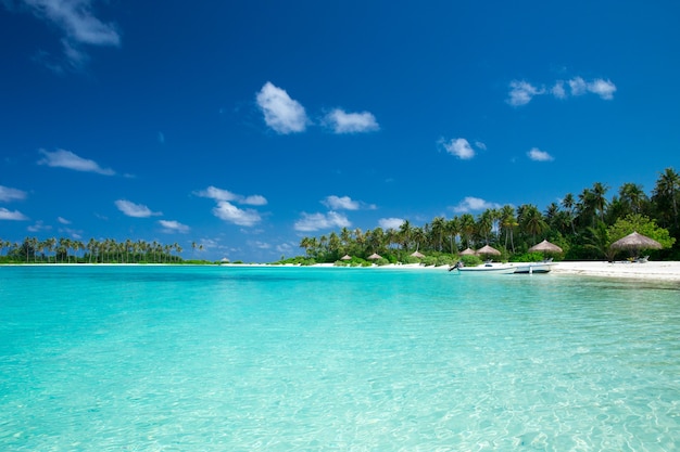 Île tropicale des Maldives avec plage de sable blanc et mer