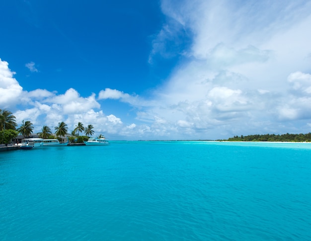 Île tropicale des Maldives avec plage de sable blanc et mer