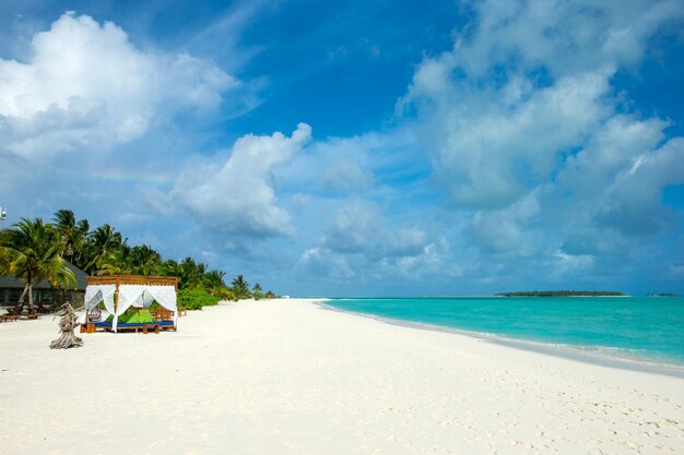 Île tropicale des Maldives avec plage de sable blanc et palmier de mer