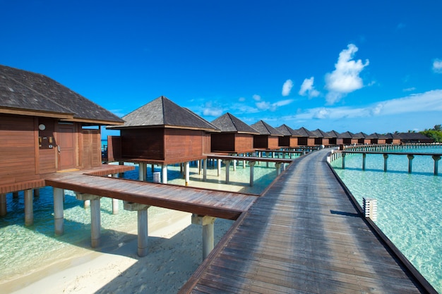 Île tropicale des Maldives avec plage