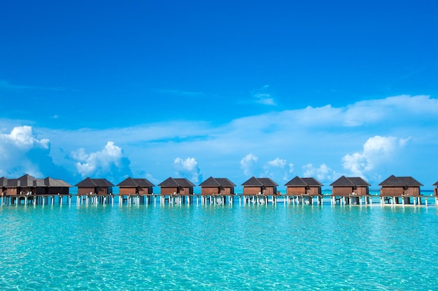 Île tropicale des Maldives avec plage