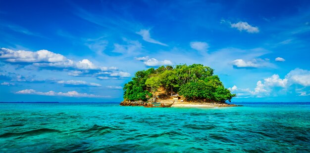 Île tropicale en mer