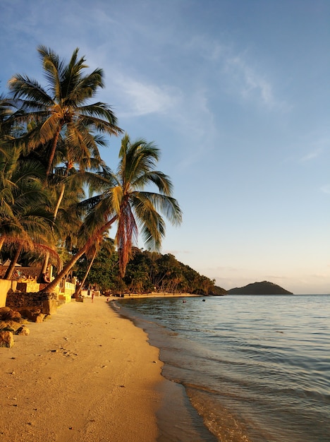 Île tropicale, palmiers sur fond de ciel coucher de soleil.