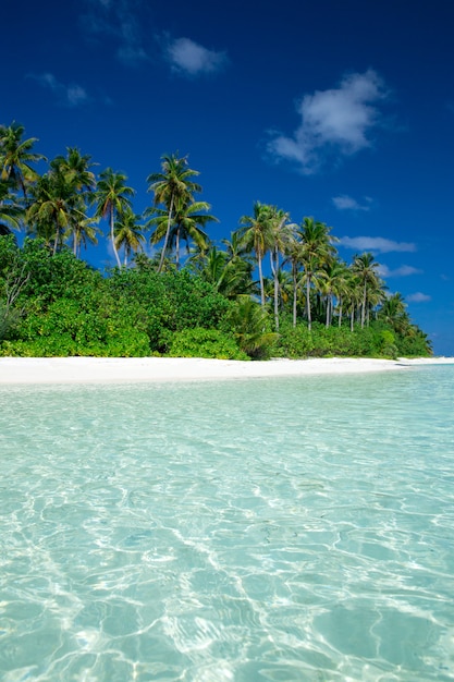 Île tropicale avec plage de sable blanc et mer