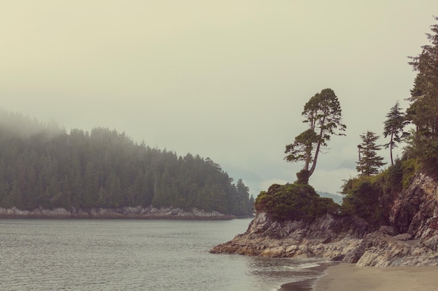 Île de Vancouver.