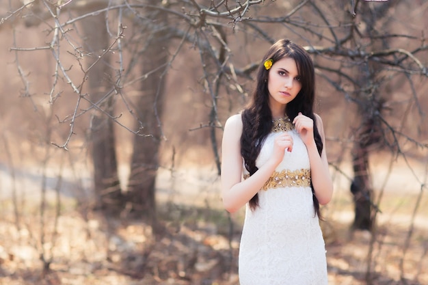 Élégante belle femme avec des fleurs dans les cheveux posant dans la forêt.