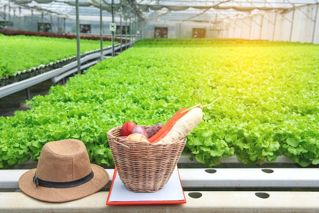 Légume bio frais dans un panier en bois avec chapeau de propriétaire dans une ferme biologique à effet de serre avec ferme de pépinière de lecture verte en arrière-plan