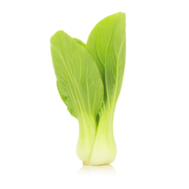 Photo légume bok choy isolé sur le fond blanc