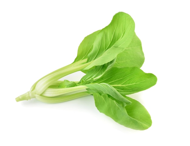 Légume bok choy isolé sur fond blanc