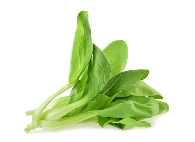 Légume bok choy isolé sur fond blanc.