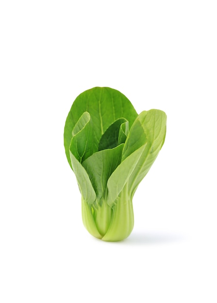 Légume bok choy isolé sur fond blanc