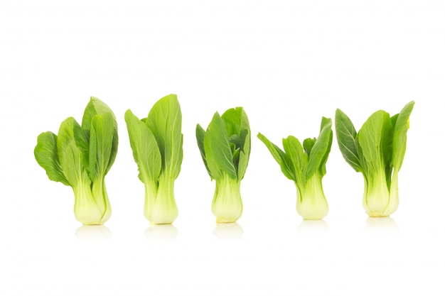 Légume bok choy isolé sur fond blanc