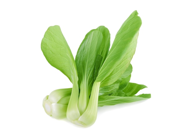 Légume bok choy isolé sur fond blanc