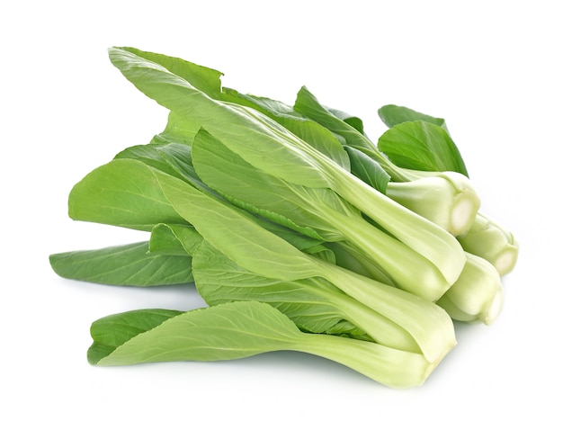 Légume bok choy isolé sur fond blanc