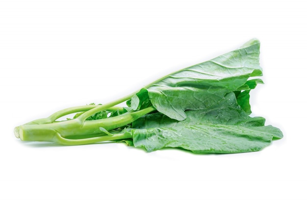 Légume de chou chinois sur fond blanc