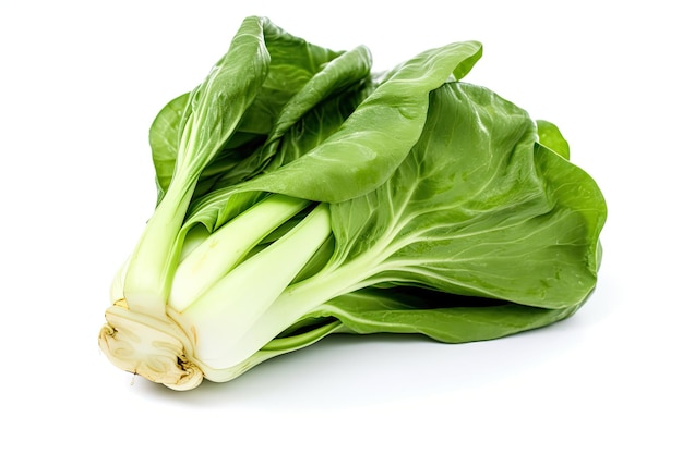 Un légume-feuille vert bok choy isolé sur blanc