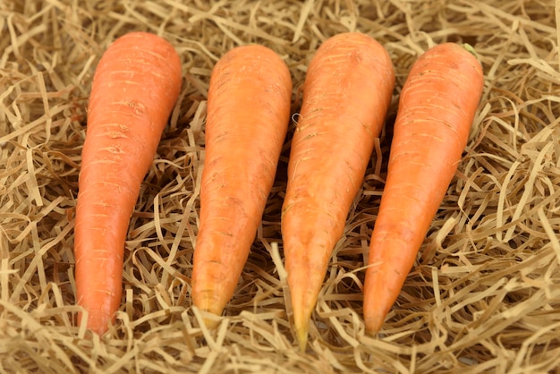 Photo légume frais et sucré de carotte sur une herbe de paille de foin