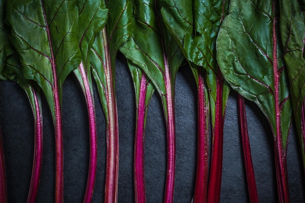 Photo légume vibrant de bette à carde rouge