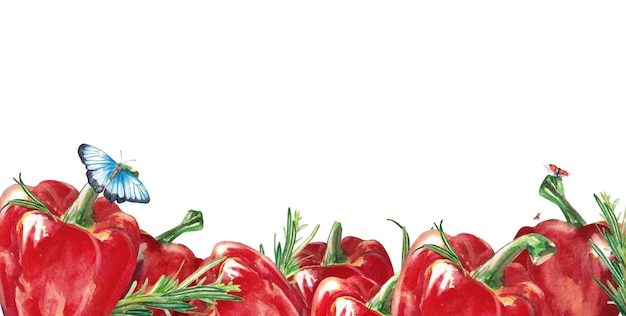 Légumes aquarelles Bannière avec poivron rouge et romarin Poivron Illustration aquarelle sur fond blanc Paprika de poivron rouge frais isolé dessiné à la main Conception d'emballage de carte de voeux
