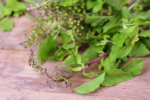 Légumes au basilic frais