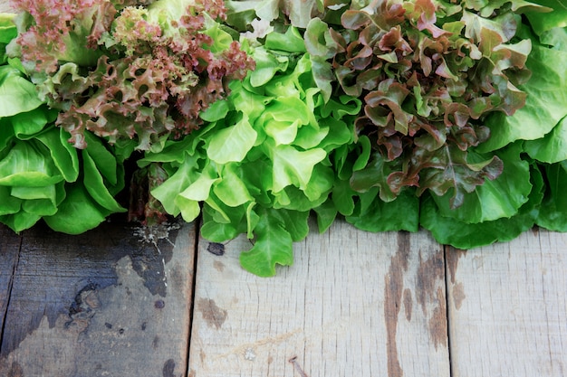 Légumes biologiques sur bois.