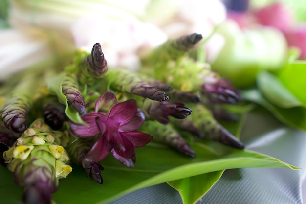 Légumes biologiques cultivés en Thaïlande par des agriculteurs , Légumes frais, sélectionnez focus.