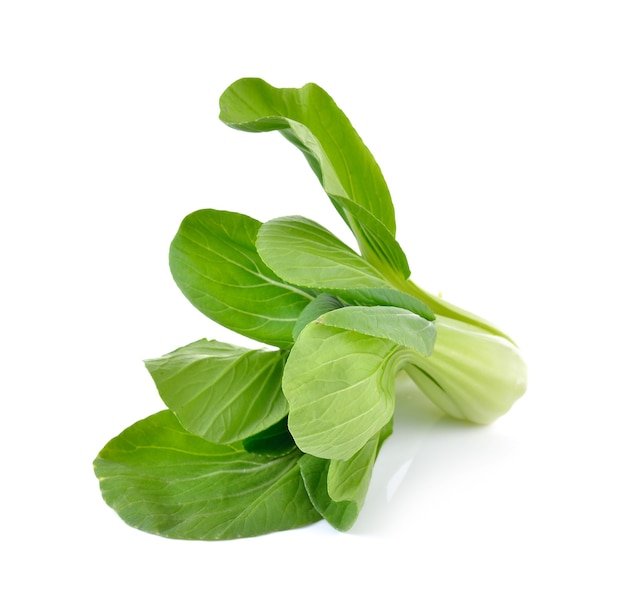 Photo légumes bok choy sur fond blanc