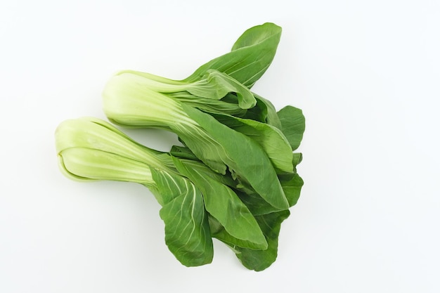 Légumes bok choy ou pak choi ou pakcoy biologiques et frais Brassica rapa subsp chinensis