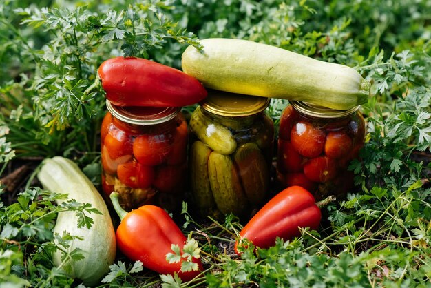 Les légumes en conserve dans des boîtes sont au milieu du jardin Récolte et préparation des fournitures pour l'hiverxA