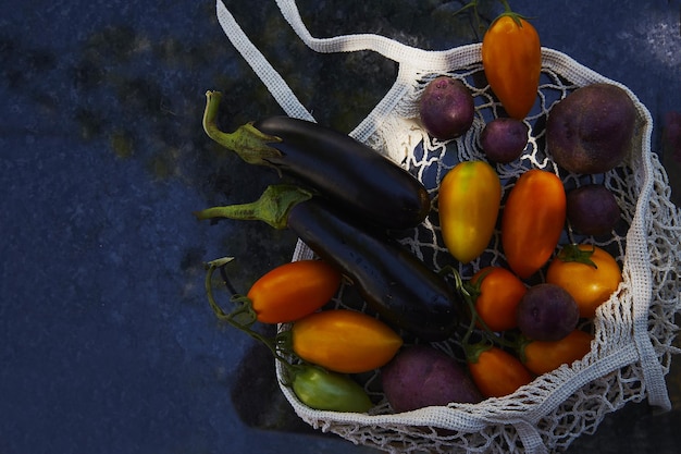 Légumes dans un sac à provisions écologique avec tomates aubergines pommes de terre violettes sous des ombres dures à la mode avec fond de réflexion Préoccupation écologique Espace de copie