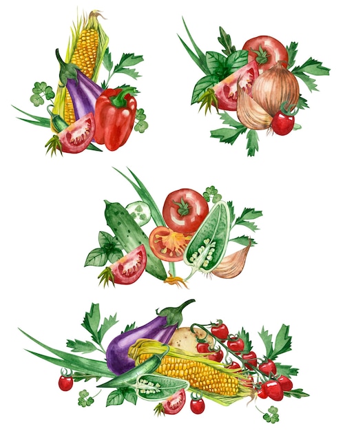 Légumes Ensemble de 4 compositions de légumes dessinés à la main à l'aquarelle sur fond blanc