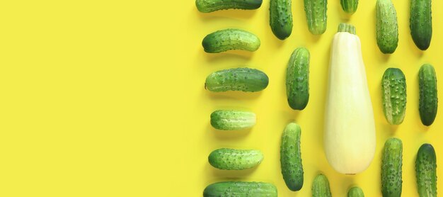 Des légumes fraîchement cueillis, des courgettes et des concombres sur un fond jaune.