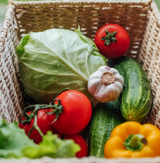 Légumes frais et crus dans un panier