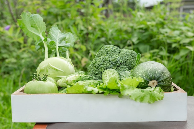 Légumes frais dans la boîte sur l&#39;herbe verte