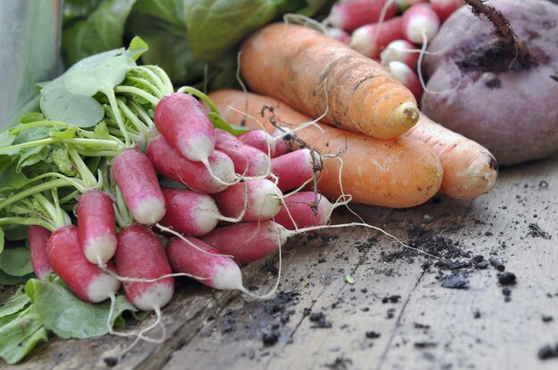 Légumes frais du jardin