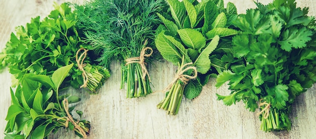 Légumes frais du jardin.