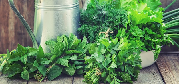 Légumes frais du jardin.