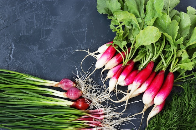 Légumes frais du printemps: radis, oignons verts, ail et aneth situés sur un fond sombre, vue de dessus