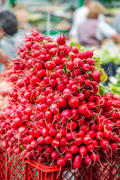 Légumes frais sur le marché