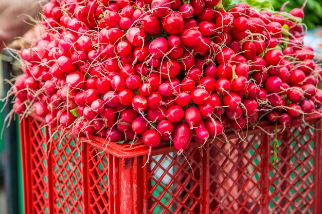 Légumes frais sur le marché