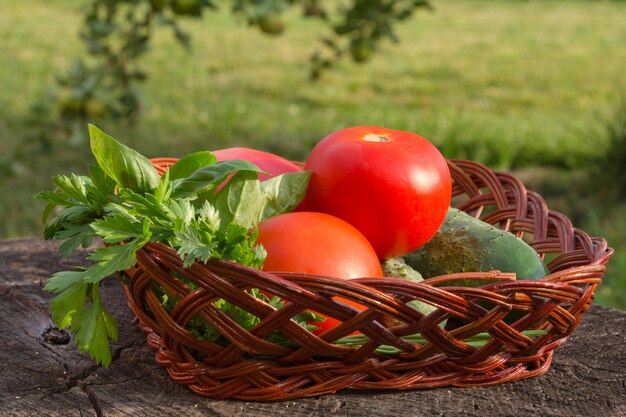 Légumes frais sur une souche.