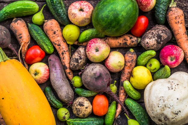 Légumes et fruits de la maison horticole