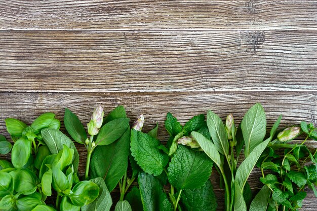 Légumes et herbes frais, récoltés dans le jardin. Herbes pour faire de la tisane. Produits utiles sur une table en bois (basilic, menthe, salvia, melissa)