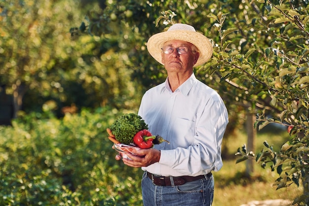 Avec des légumes Un homme âgé se tient debout dans le jardin pendant la journée