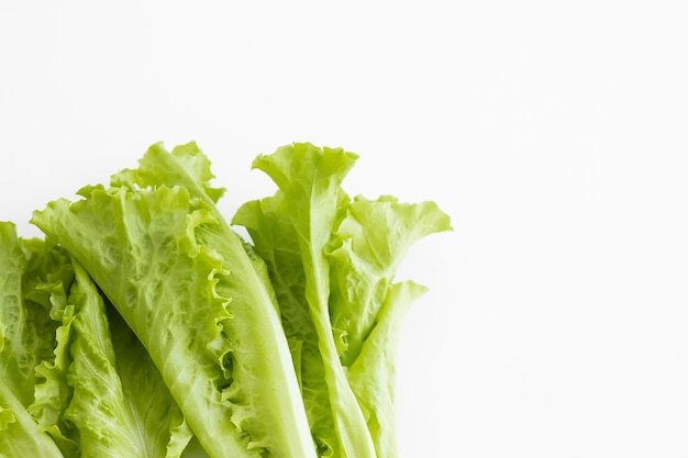 Légumes de laitue au beurre vert ou salade isolé sur fond blanc