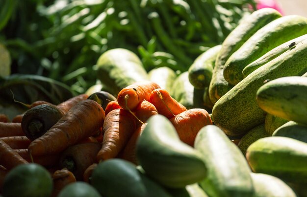 Légumes sur le marché